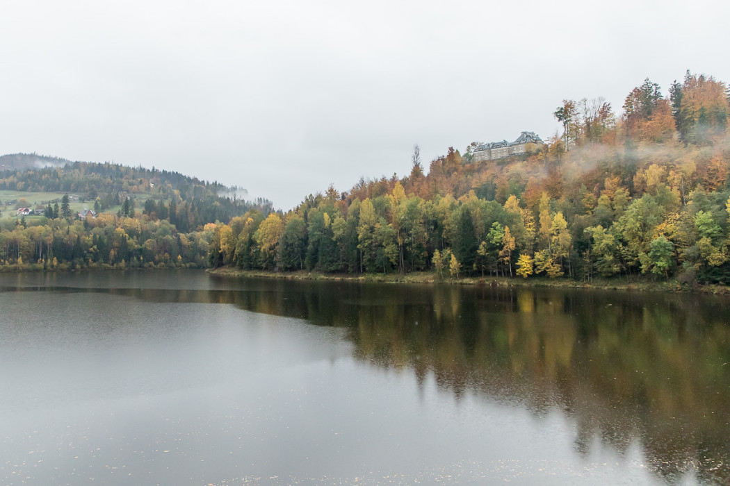 Widok na staw i otaczającą go zieleń