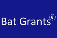 Logo Bat Grants